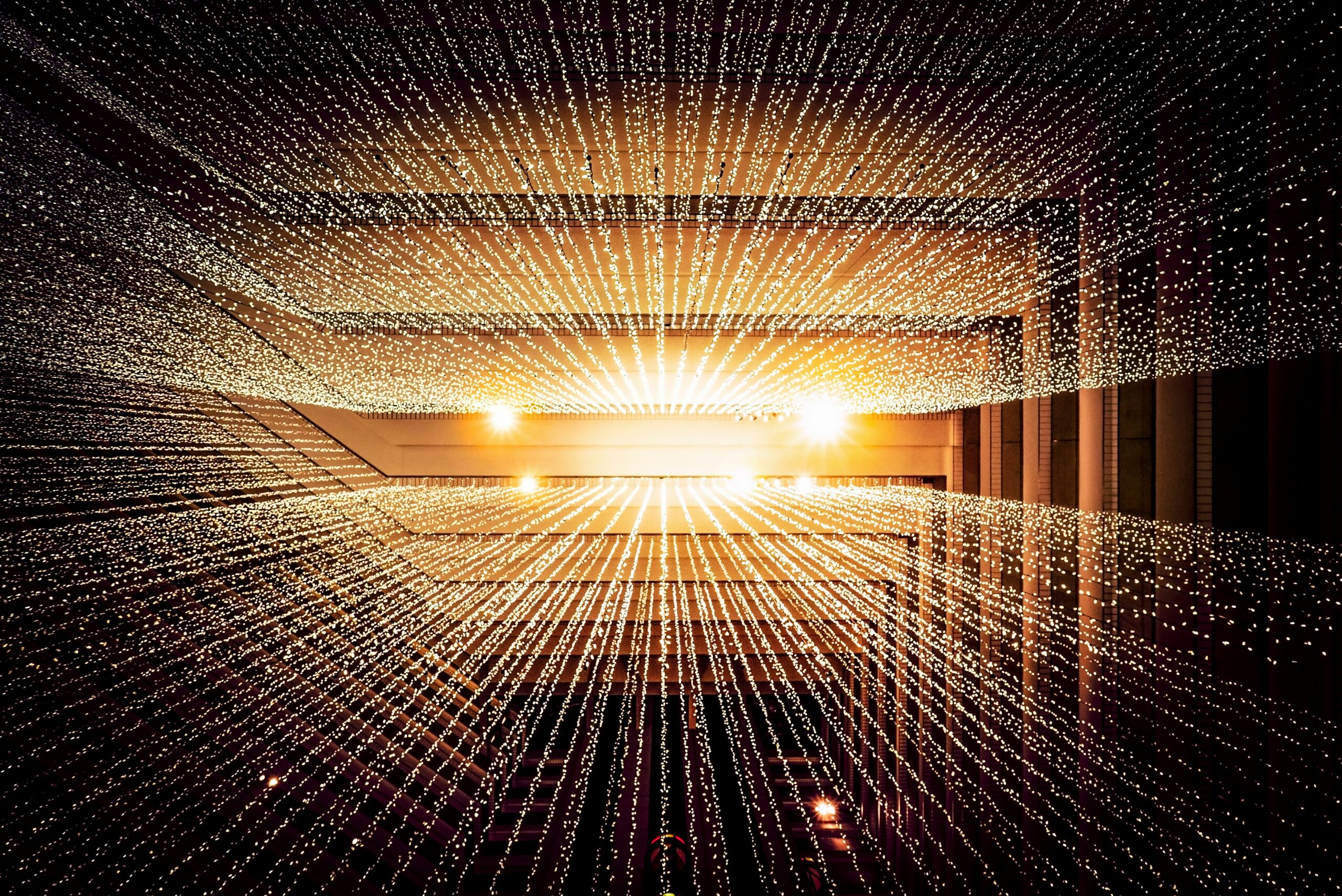 Navigating the Digital Frontier: Introducing The Digital Rat Race